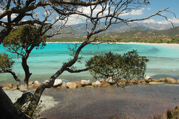 Crédits, conservatoire du Littoral