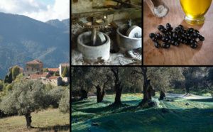 Oliviers et huile d'olive