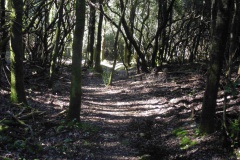 Moca Croce Piscia di l'Onda