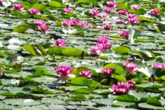 Soccia Lac de Creno