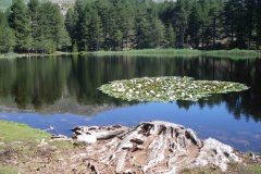 Soccia Lac de Creno