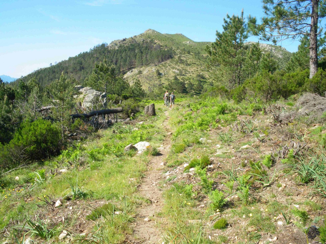  Saint Eustache Col de la Vaccia