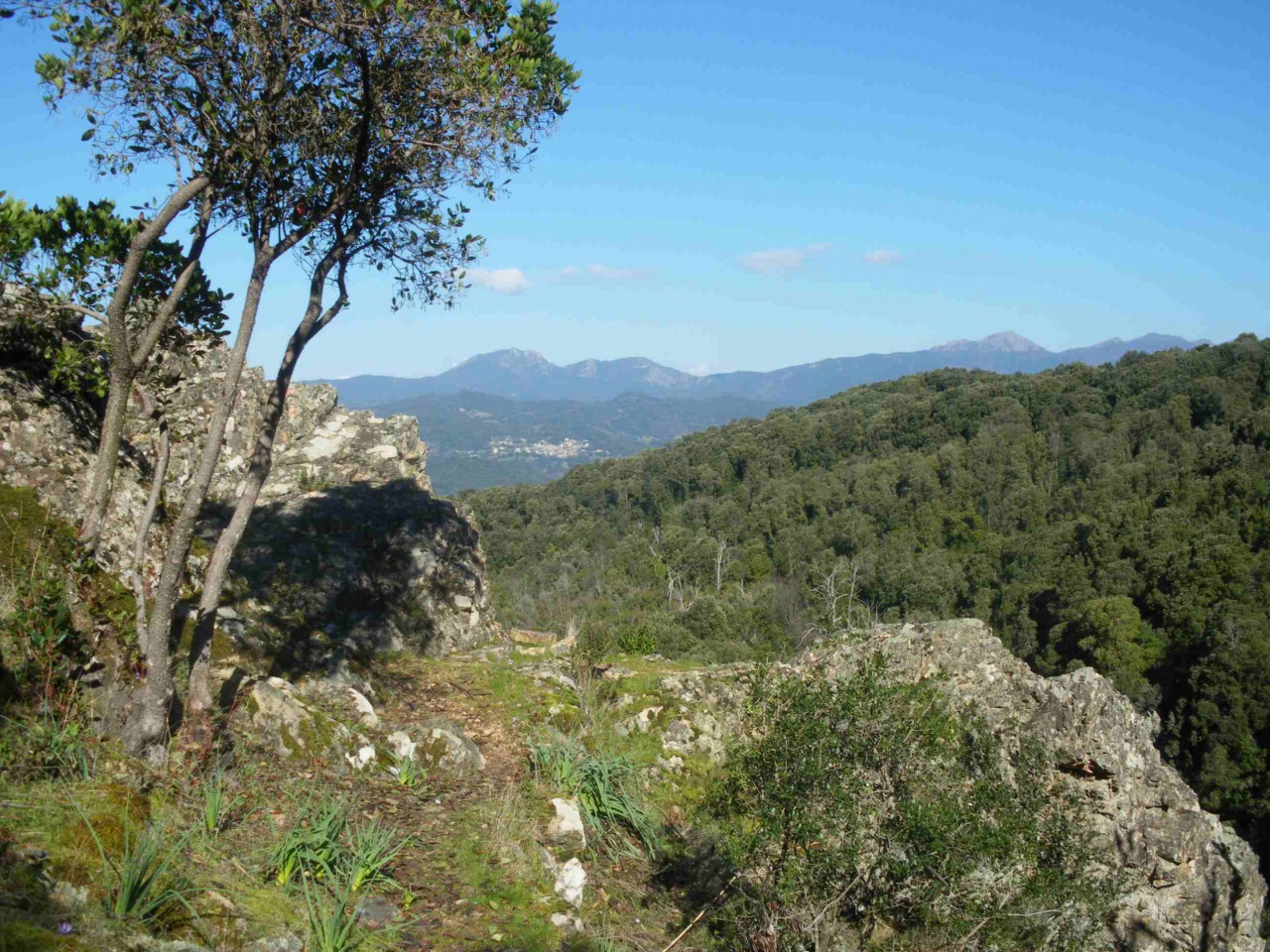 Moca Croce Piscia di l'Onda